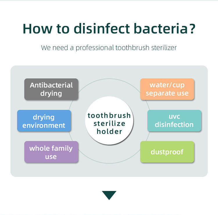 Caredite 2023 Toothbrush Steriliser Holder | Wall-Mounted UV Sanitiser | Fast Drying | Multi-Colour Options