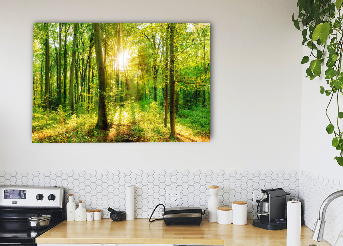 Forest scene wall art in a kitchen setting
