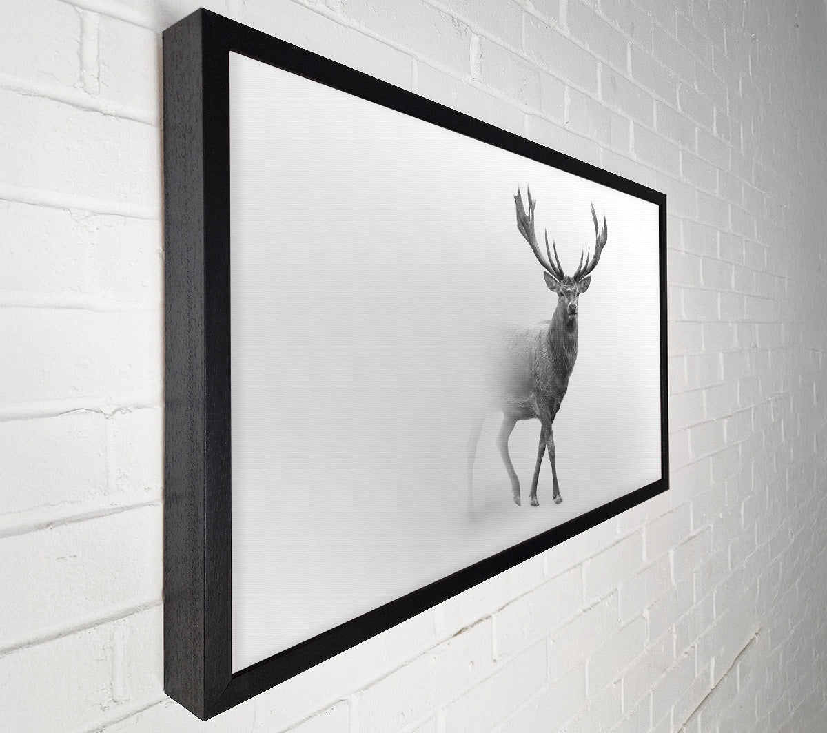 Stag In The Mist Canvas Art