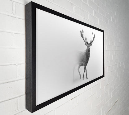 Stag In The Mist Canvas Art