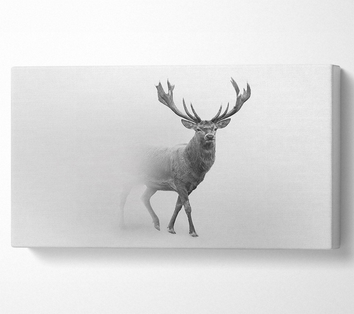 Stag In The Mist Canvas Art