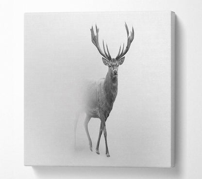 Stag In The Mist Canvas Art