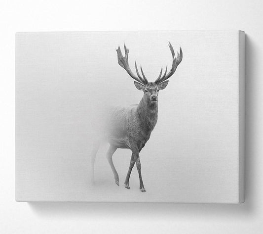 Stag In The Mist Canvas Art