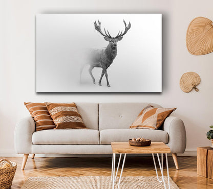Stag In The Mist Canvas Art
