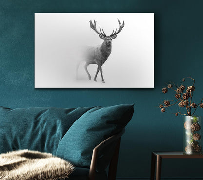 Stag In The Mist Canvas Art