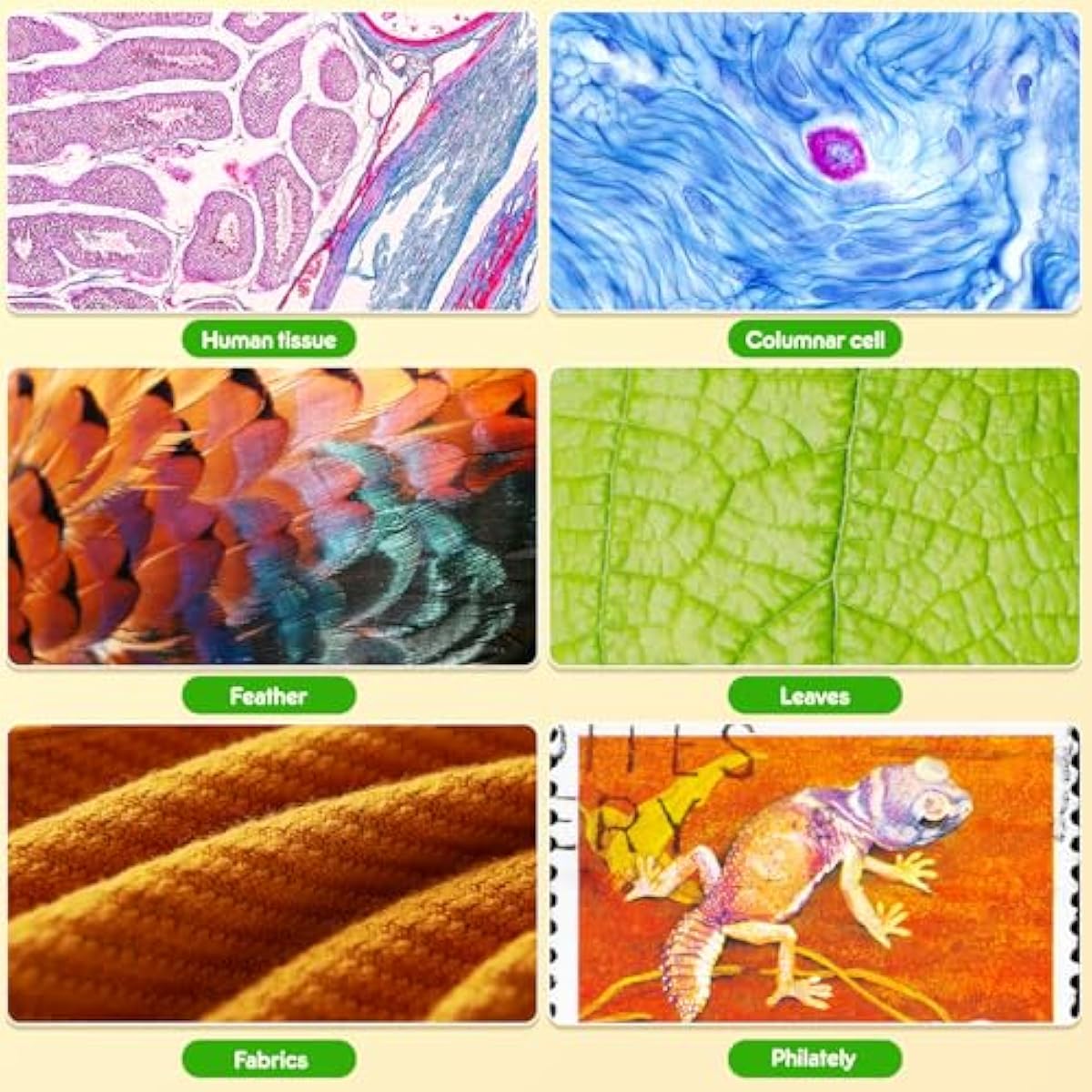 135x Pocket Microscope for Kids & Adults – Portable Handheld Mini Microscope with 5 Slides