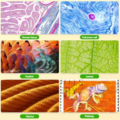 135x Pocket Microscope for Kids & Adults – Portable Handheld Mini Microscope with 5 Slides