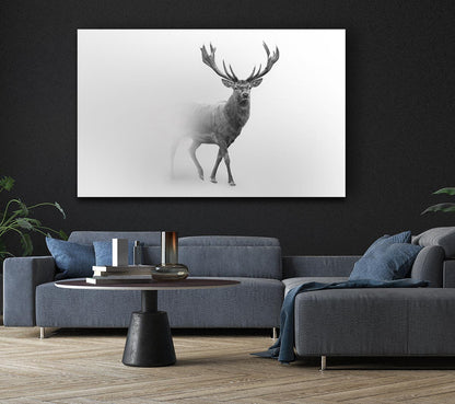 Stag In The Mist Canvas Art