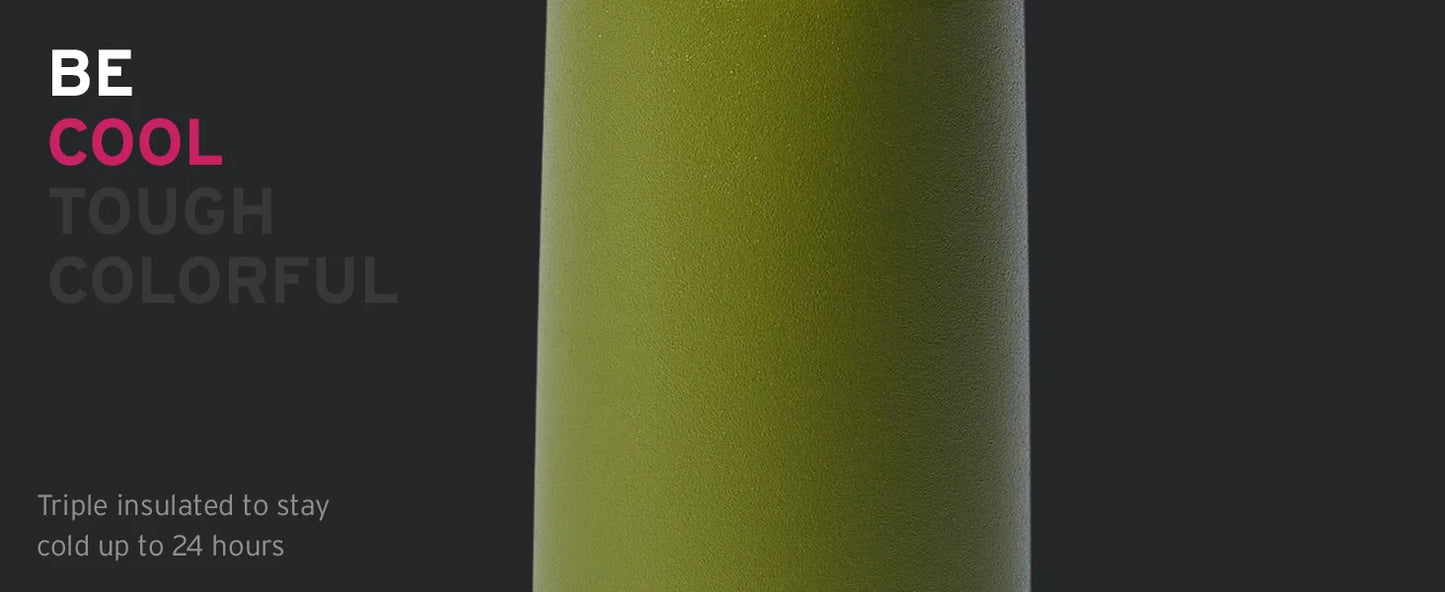 Triple Walled Insulated Water Bottles with Straw  25 Oz Stainless Steel Metal Bottle  Leak Proof Lids  Army Green